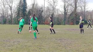 19-01-2020-P2 Dames
Seraing Ath. - Ellas Herstal : 6-1